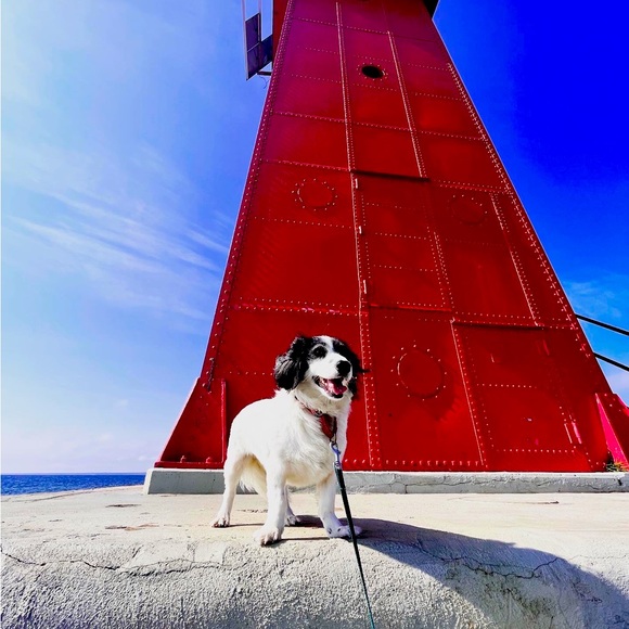 Meet your Posher, Lauren - Picture 1 of 1